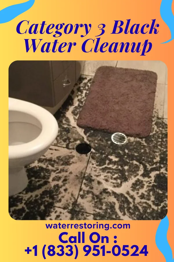 Category 3 Black Water Cleanup in Pound, VA