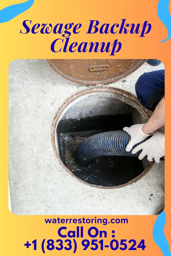 Sewage Backup Cleanup in Pound, VA
