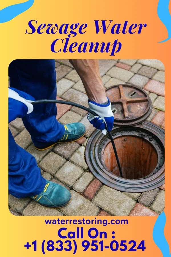 Sewage Water Cleanup in Pound, VA