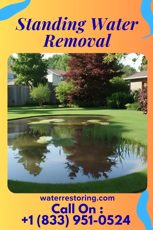 Standing Water Removal in Pound, VA